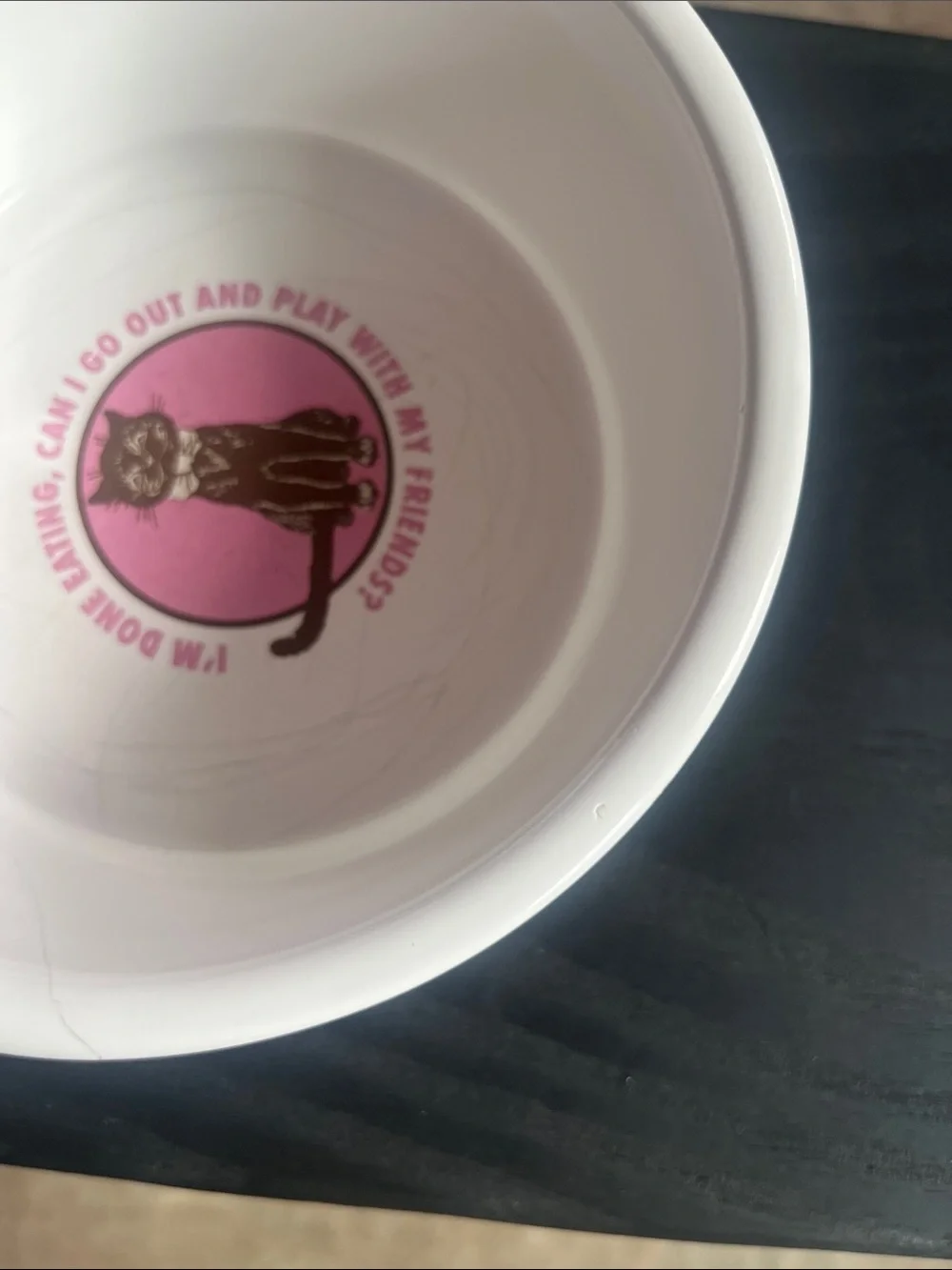 Vintage Cat Dish Food Water Bowl 6
